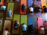 Bhakti Yoga Summer
