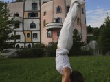 Adho Mukha Vrkshasana (Handstand)