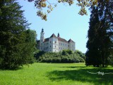 schloss freiberg_logo